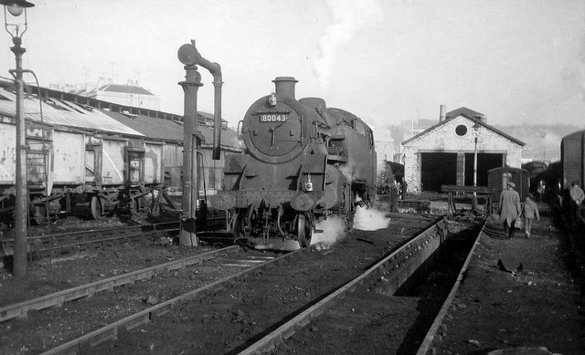 Green Park yard and shed